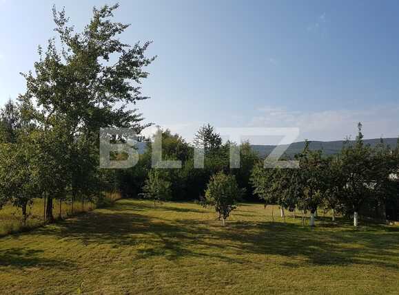 Casa de vânzare 4 camere Făget - 31316CV | BLITZ Cluj-Napoca | Poza19