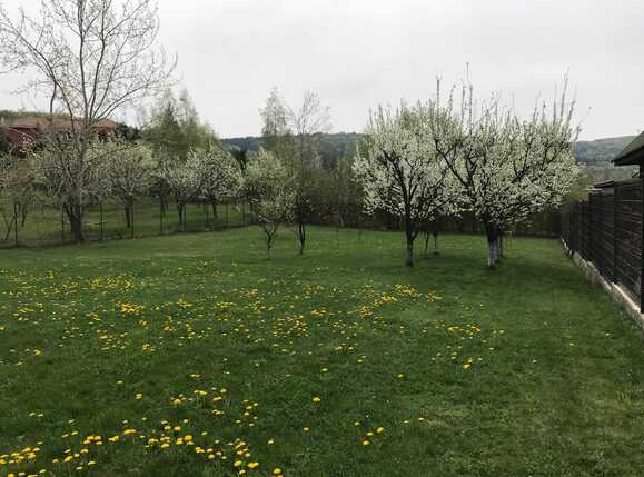 Casa de vânzare 4 camere Făget - 31316CV | BLITZ Cluj-Napoca | Poza20