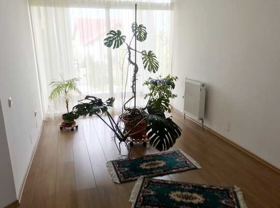 Casa de vânzare 4 camere Făget - 31316CV | BLITZ Cluj-Napoca | Poza13