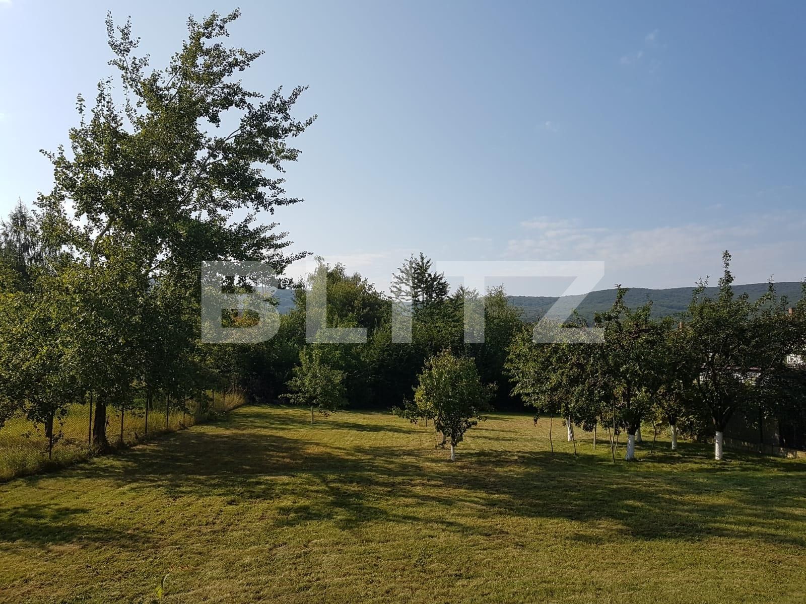 Casa de vânzare 4 camere Făget - 31316CV | BLITZ Cluj-Napoca | Poza19