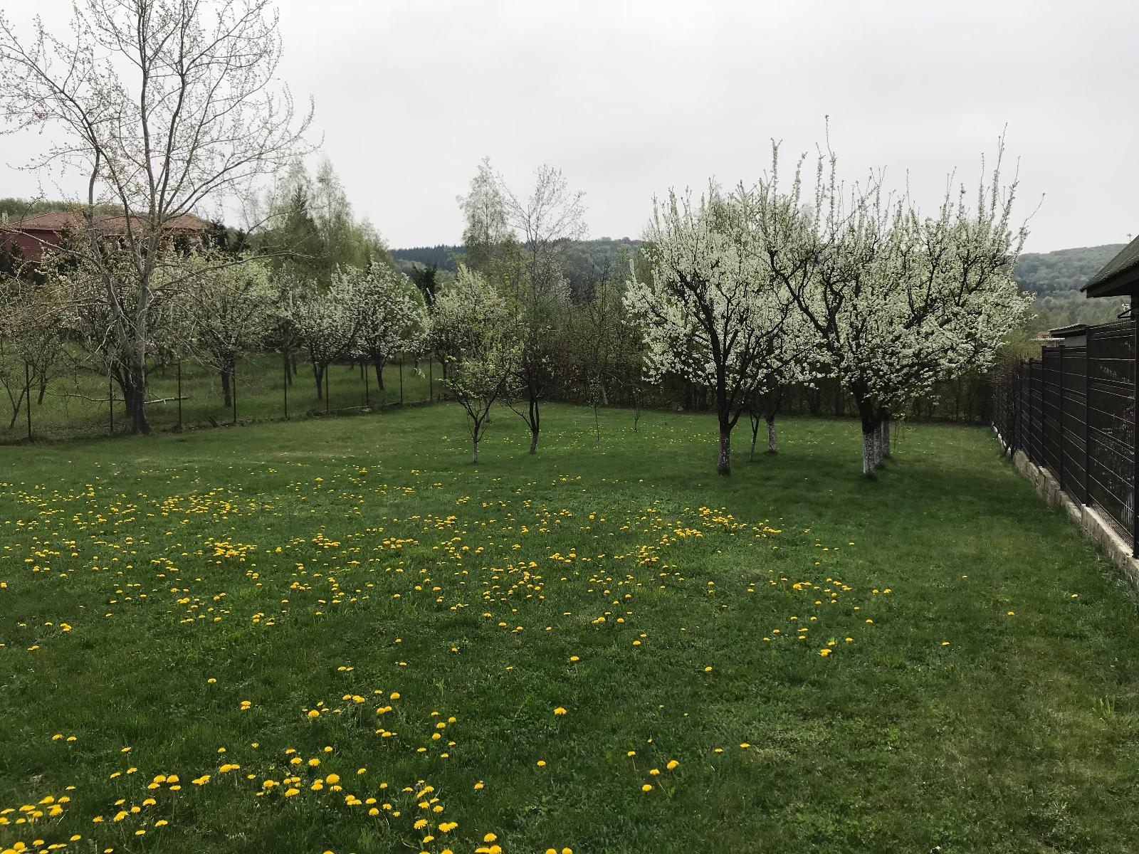 Casa de vânzare 4 camere Făget - 31316CV | BLITZ Cluj-Napoca | Poza20