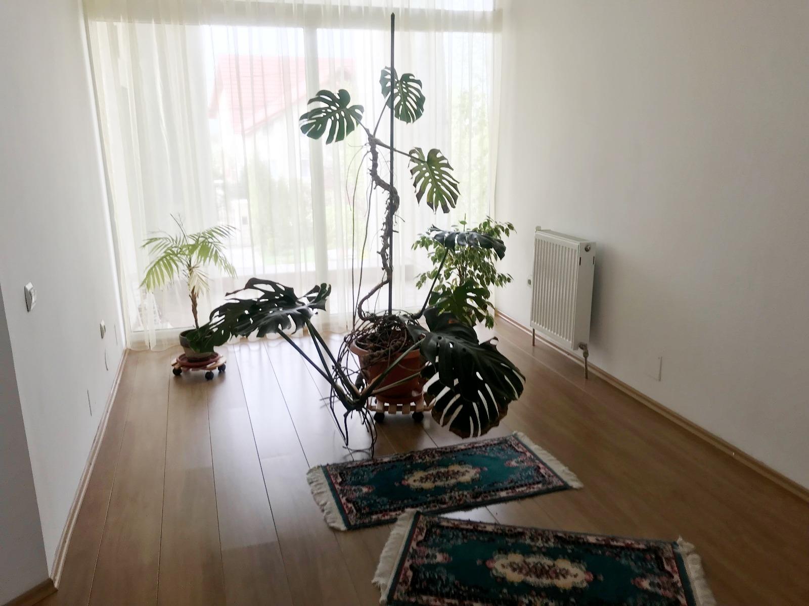 Casa de vânzare 4 camere Făget - 31316CV | BLITZ Cluj-Napoca | Poza13