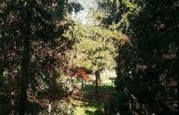 Apartament 2 camere, parcare, prima inchiriere, zona Complex Diana