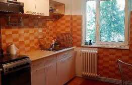 Apartament 2 camere, parcare, prima inchiriere, zona Complex Diana