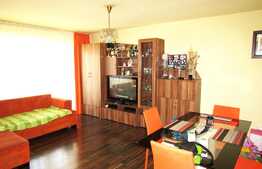 Apartament de vanzare cu 2 camere, 54 mp! Zona strazii Florilor!