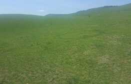 Teren extravilan de 10 400 mp! Zona Dealu de Jos!