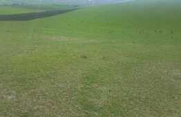 Teren extravilan de 10 400 mp! Zona Dealu de Jos!