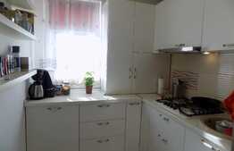 Apartament deosebit, 2 camere, 56 mp, terasa de 13 mp! Zona strazii Porii!