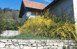 Casa individuala, 340 mp cu 650 mp de teren in Suceagu