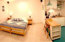 Garsoniera ideala pentru investitie, zona ultracentrala!