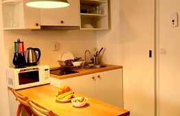 Garsoniera ideala pentru investitie, zona ultracentrala!