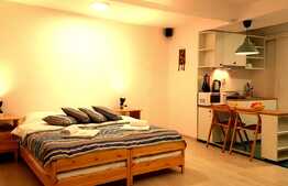 Garsoniera ideala pentru investitie, zona ultracentrala!