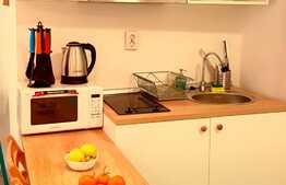 Garsoniera ideala pentru investitie, zona ultracentrala!