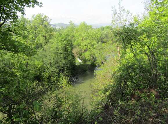 Teren de vânzare Grigorescu - 31410TV | BLITZ Cluj-Napoca | Poza1