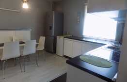 Apartament 2 camere, 40 mp, mobilat lux! Zona strazii Plopilor!