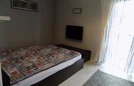 Apartament 2 camere, 40 mp, mobilat lux! Zona strazii Plopilor!