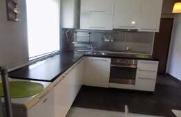 Apartament 2 camere, 40 mp, mobilat lux! Zona strazii Plopilor!