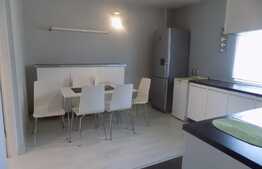 Apartament 2 camere, 40 mp, mobilat lux! Zona strazii Plopilor!