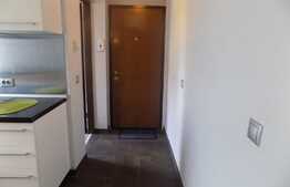 Apartament 2 camere, 40 mp, mobilat lux! Zona strazii Plopilor!