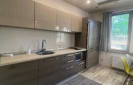 Apartament 2 camere, 50 mp, parcare, zona Parcul Babes