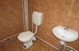 Apartament 1 camera, 52 mp, prima inchiriere, zona Autogara Beta