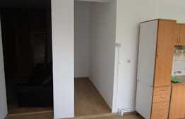 Apartament 1 camera, 52 mp, prima inchiriere, zona Autogara Beta