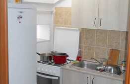 Apartament izolat termic cu 1 camera!