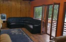 Casa de vacanta cu acces la lacul Tarnita