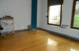 Apartament 3 camere, 86 mp, mobilat LUX, gradina, zona Gradinii Botanice