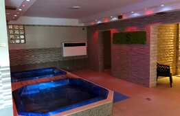 Proprietate cu locuinta, teren si  spa ca si bussines