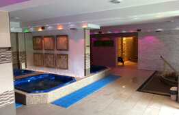 Proprietate cu locuinta, teren si  spa ca si bussines