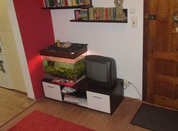 Apartament de vânzare 2 camere Grigorescu - 31445AV | BLITZ Cluj-Napoca | Poza4