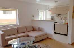 Apartament 2 camere, 43 mp, 7 mp terasa, zona VIVO!