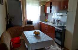 De vanzare apartament 3 camere, 77 mp, boxa, zona strazii Grigore Alexandrescu
