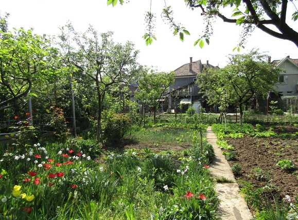 Casa de vânzare 2 camere Intre Lacuri - 31469CV | BLITZ Cluj-Napoca | Poza1