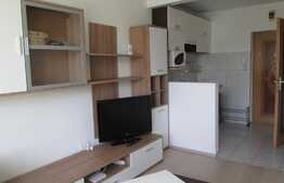 De inchiriat garsoniera, 21 mp, zona Expo Transilvania