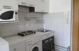 De inchiriat garsoniera, 21 mp, zona Expo Transilvania