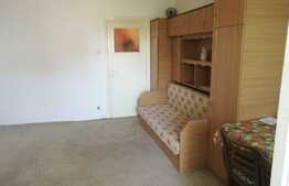 Garsoniera 28 mp, balcon, zona Grigore Alexandrescu, etaj intermediar