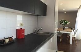 Penthouse lux 5 camere, 206 mp, terase 224 mp, garaj, zona Buna Ziua