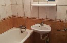 Garsoniera, 22 mp, boxa, zona strazii Plevnei