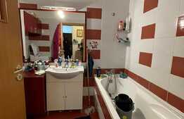Apartament 2 camere, decomandat, pet friendly, parcare subterana, zona Studium Green
