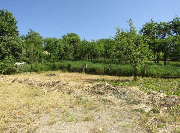 Casa de vânzare 4 camere Dambul Rotund - 31519CV | BLITZ Cluj-Napoca | Poza2