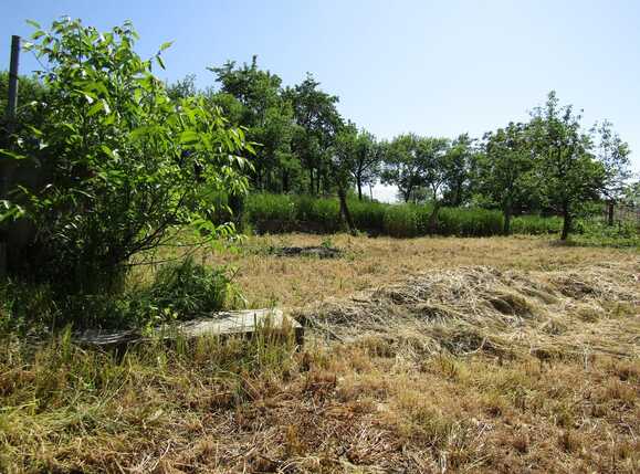 Casa de vânzare 4 camere Dambul Rotund - 31519CV | BLITZ Cluj-Napoca | Poza1