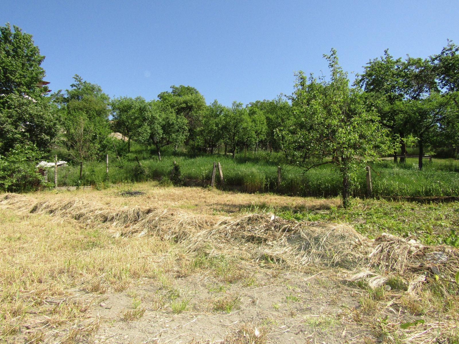 Casa de vânzare 4 camere Dambul Rotund - 31519CV | BLITZ Cluj-Napoca | Poza2