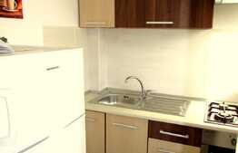 Garsoniera, 28 mp, mobilat modern, zona Expo Transilvania