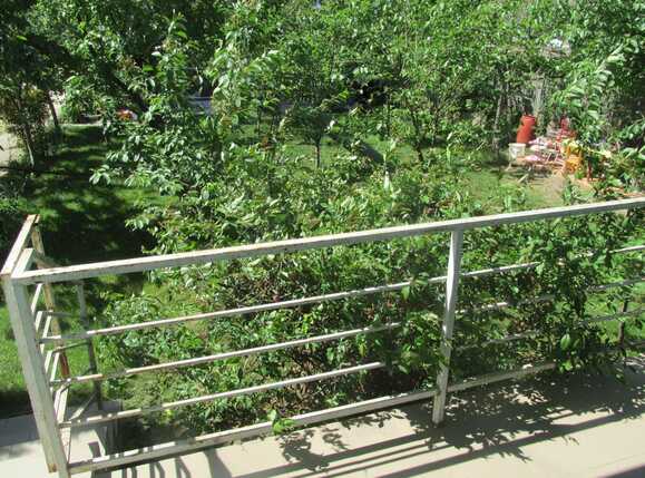 Apartament de închiriat 2 camere Marasti - 31539AI | BLITZ Cluj-Napoca | Poza8