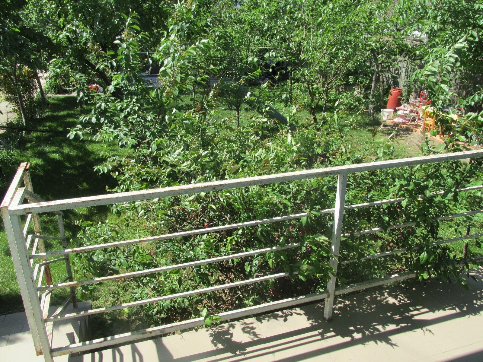 Apartament de închiriat 2 camere Marasti - 31539AI | BLITZ Cluj-Napoca | Poza8