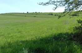 Teren 4800 mp, front 30 ml, zona linistita de case