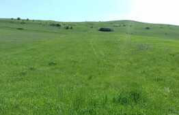 Teren 4800 mp, front 30 ml, zona linistita de case