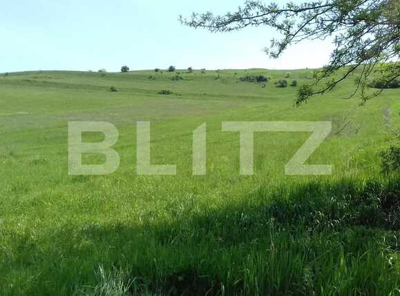 Teren de vânzare Apahida - 31557TV | BLITZ Cluj-Napoca | Poza2